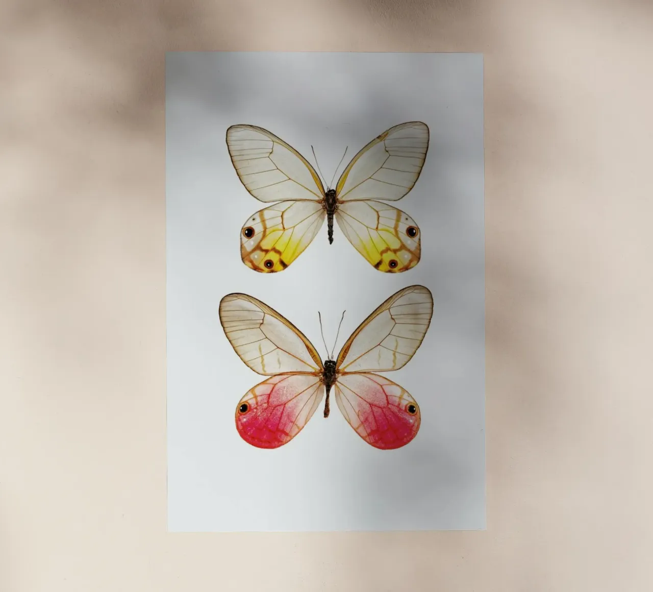Eleganza morbida: Poster con farfalla gialla e rosa pellicola backlit da Curious Collections by Marielle Leenders