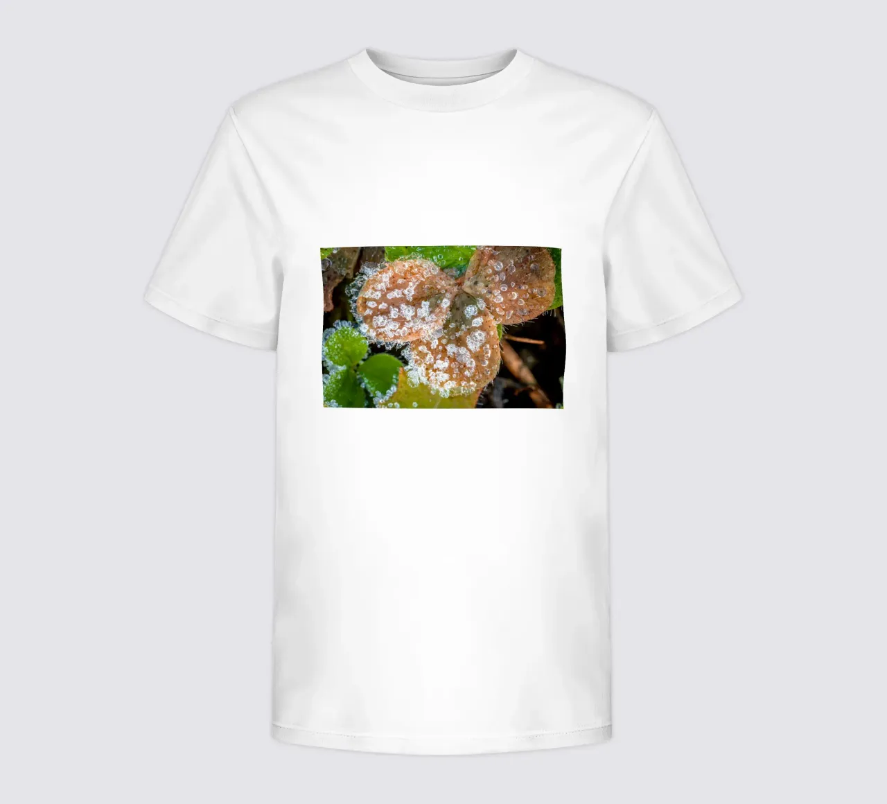 Ice crystals on shamrocks in winter kids t-shirt by Marcus Beckert | Fotografie