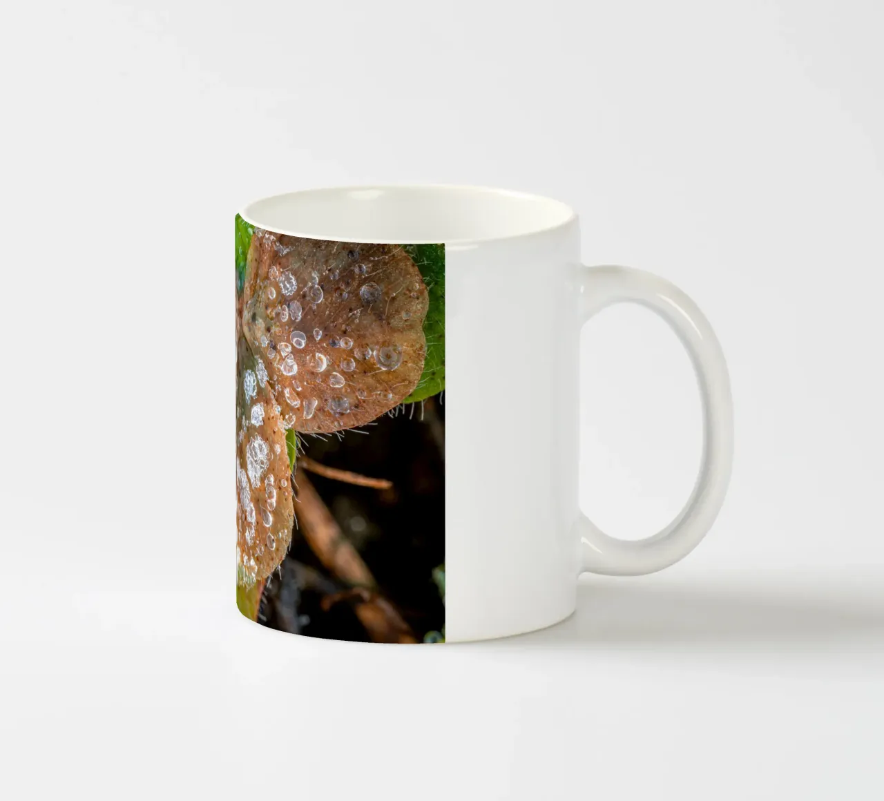 Cristalli di ghiaccio sui trifogli in inverno tazza in ceramica da Marcus Beckert | Fotografie