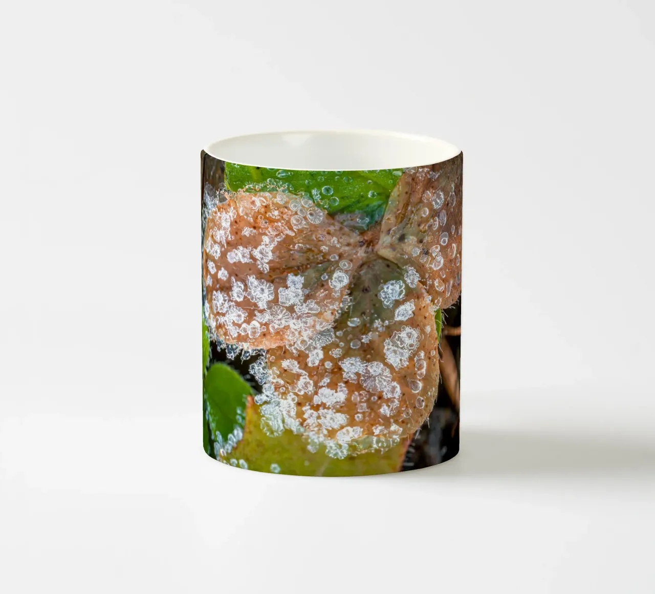 Cristalli di ghiaccio sui trifogli in inverno tazza in ceramica da Marcus Beckert | Fotografie