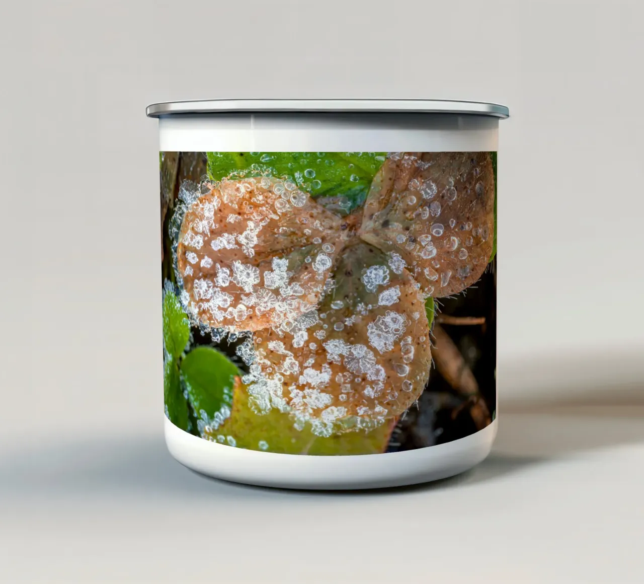 Cristalli di ghiaccio sui trifogli in inverno tazza in smalto da Marcus Beckert | Fotografie