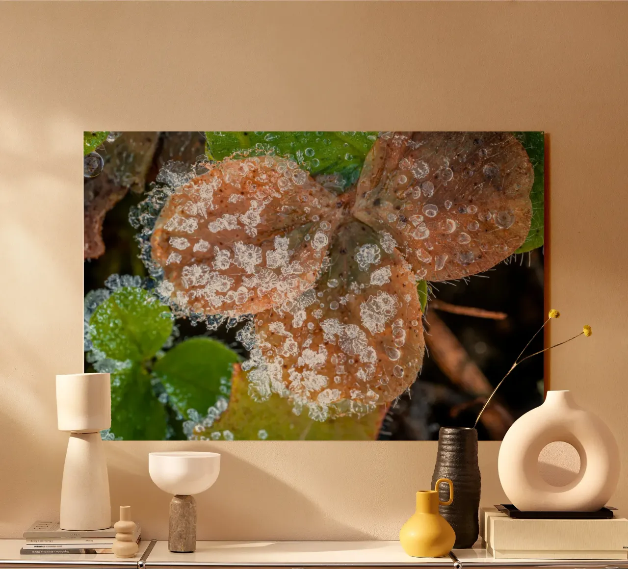 Cristalli di ghiaccio sui trifogli in inverno plexiglass da Marcus Beckert | Fotografie