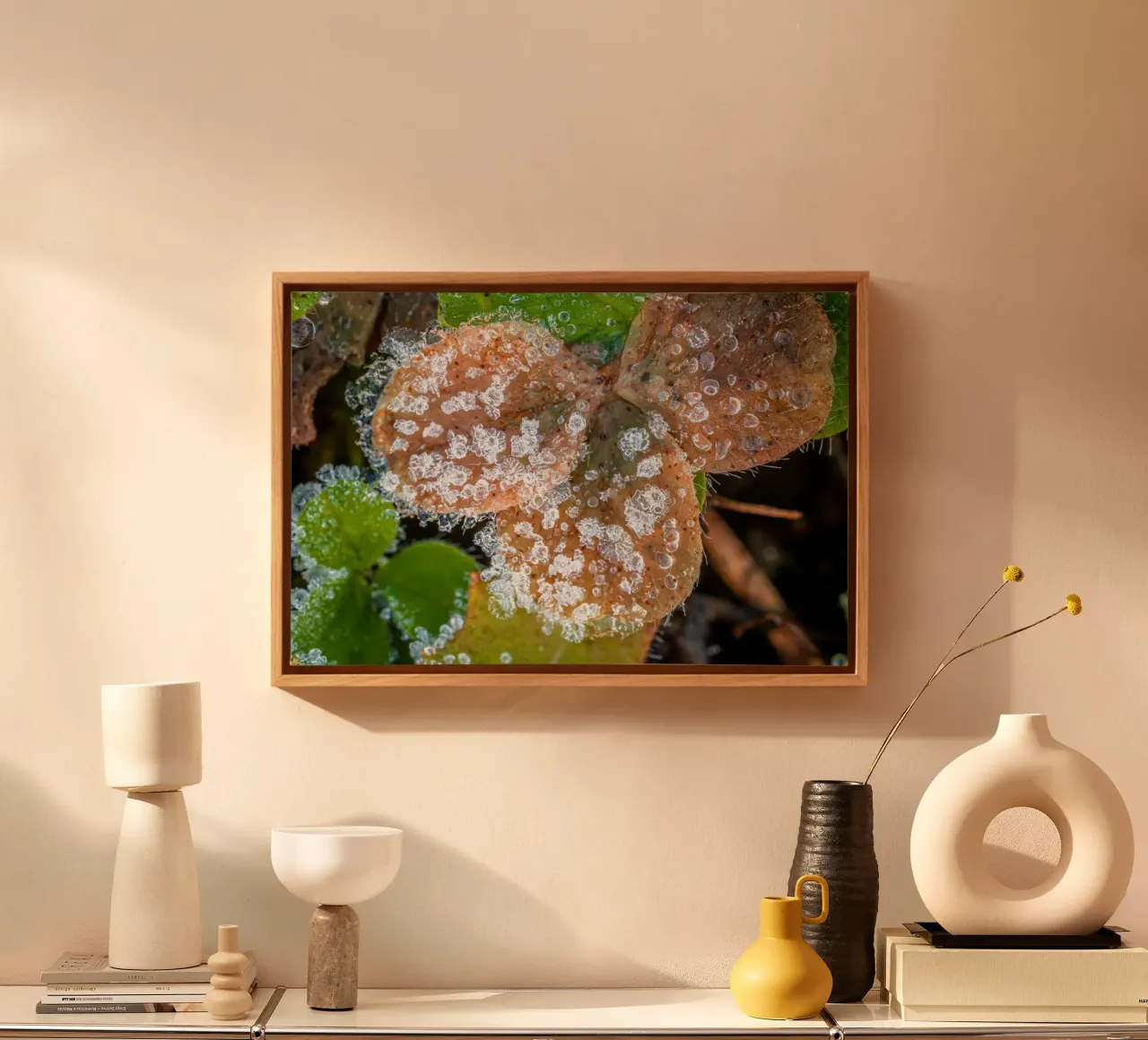 Ice crystals on shamrocks in winter canvas by Marcus Beckert | Fotografie