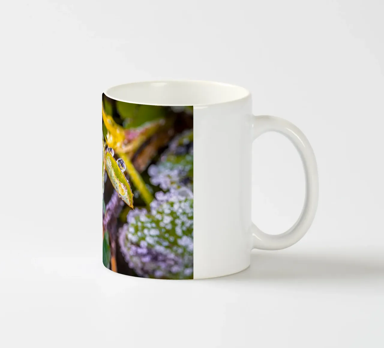 Gocce d'acqua su trifogli tazza in ceramica da Marcus Beckert | Fotografie