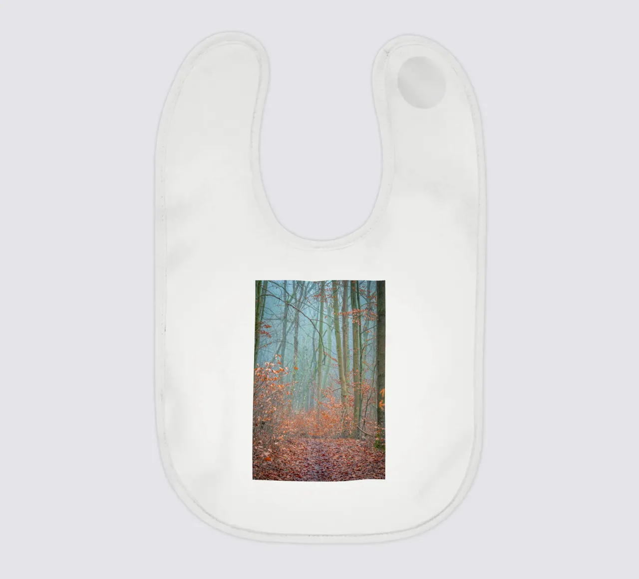 Nebbia nella foresta in autunno bavaglino da Marcus Beckert | Fotografie