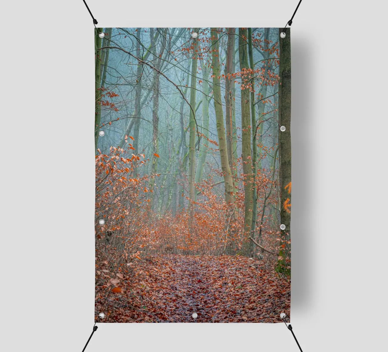 Nebbia nella foresta in autunno telo in pvc da Marcus Beckert | Fotografie