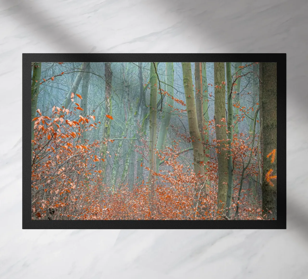 Nebbia nella foresta in autunno zerbino da Marcus Beckert | Fotografie