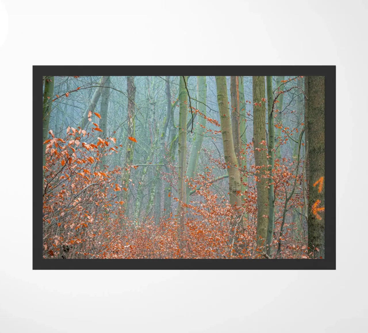 Nebbia nella foresta in autunno zerbino da Marcus Beckert | Fotografie