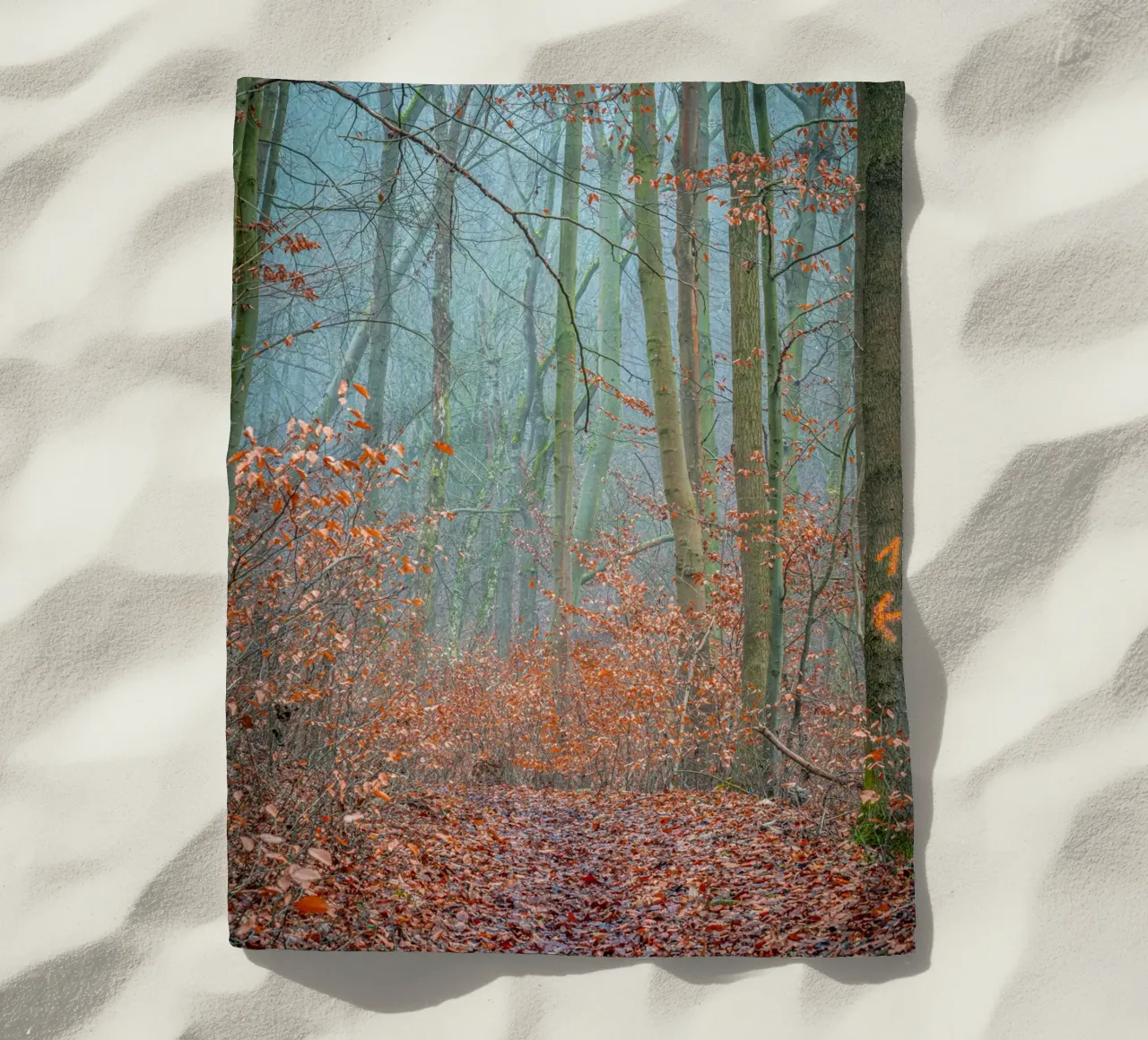 Nebbia nella foresta in autunno telo mare da Marcus Beckert | Fotografie