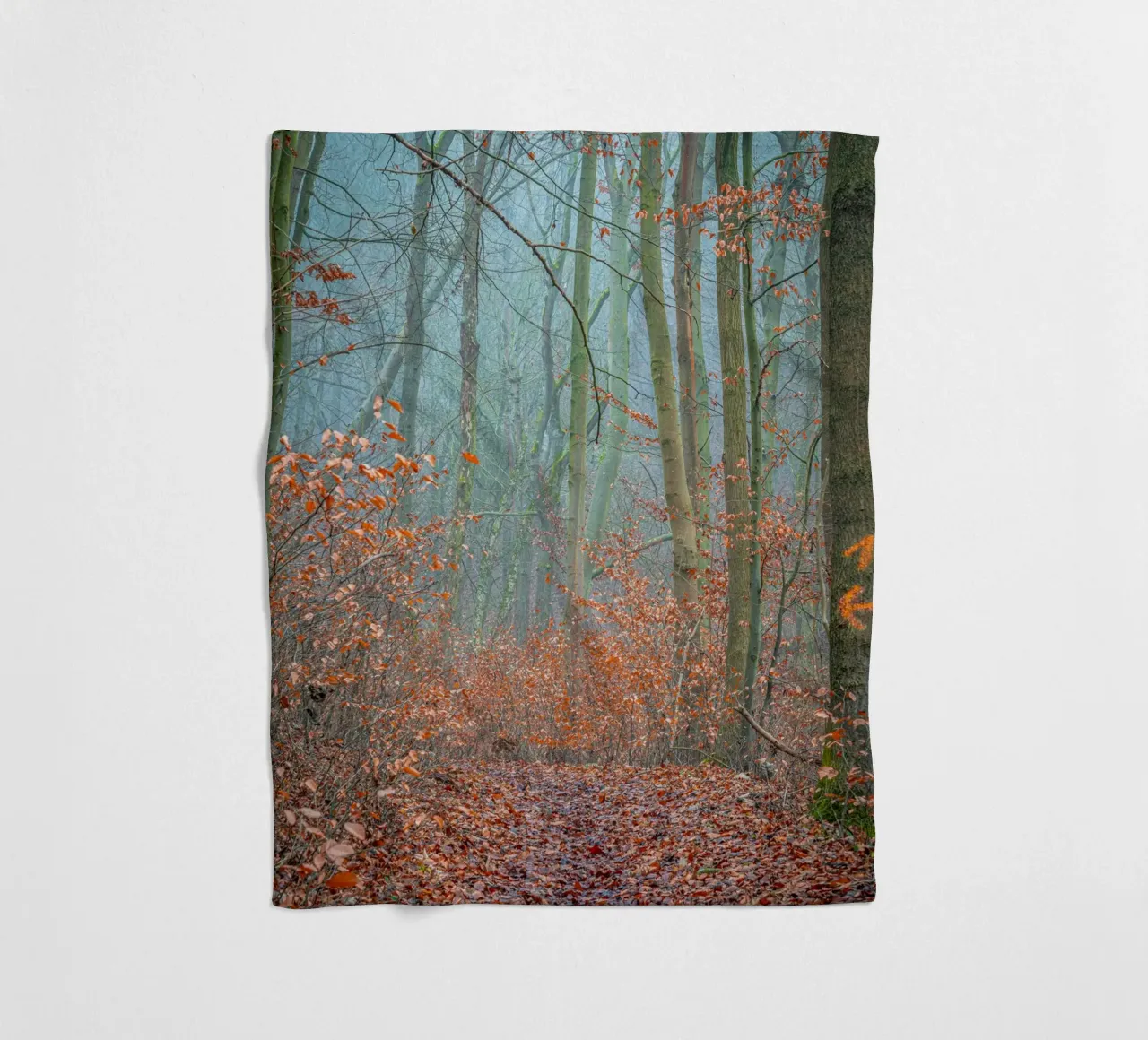 Nebbia nella foresta in autunno coperta in pile da Marcus Beckert | Fotografie
