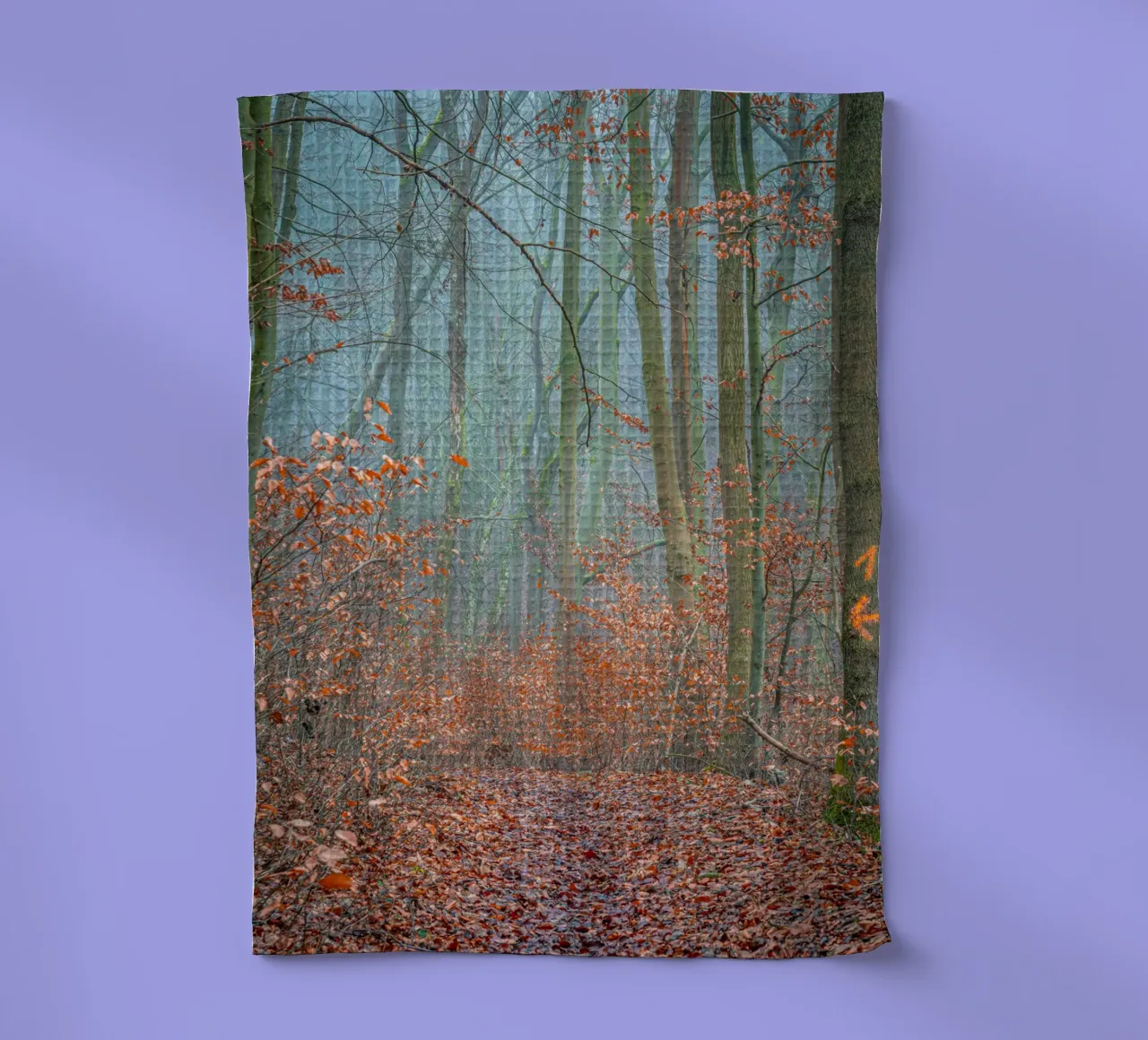 Brouillard dans la forêt en automne torchon de Marcus Beckert | Fotografie