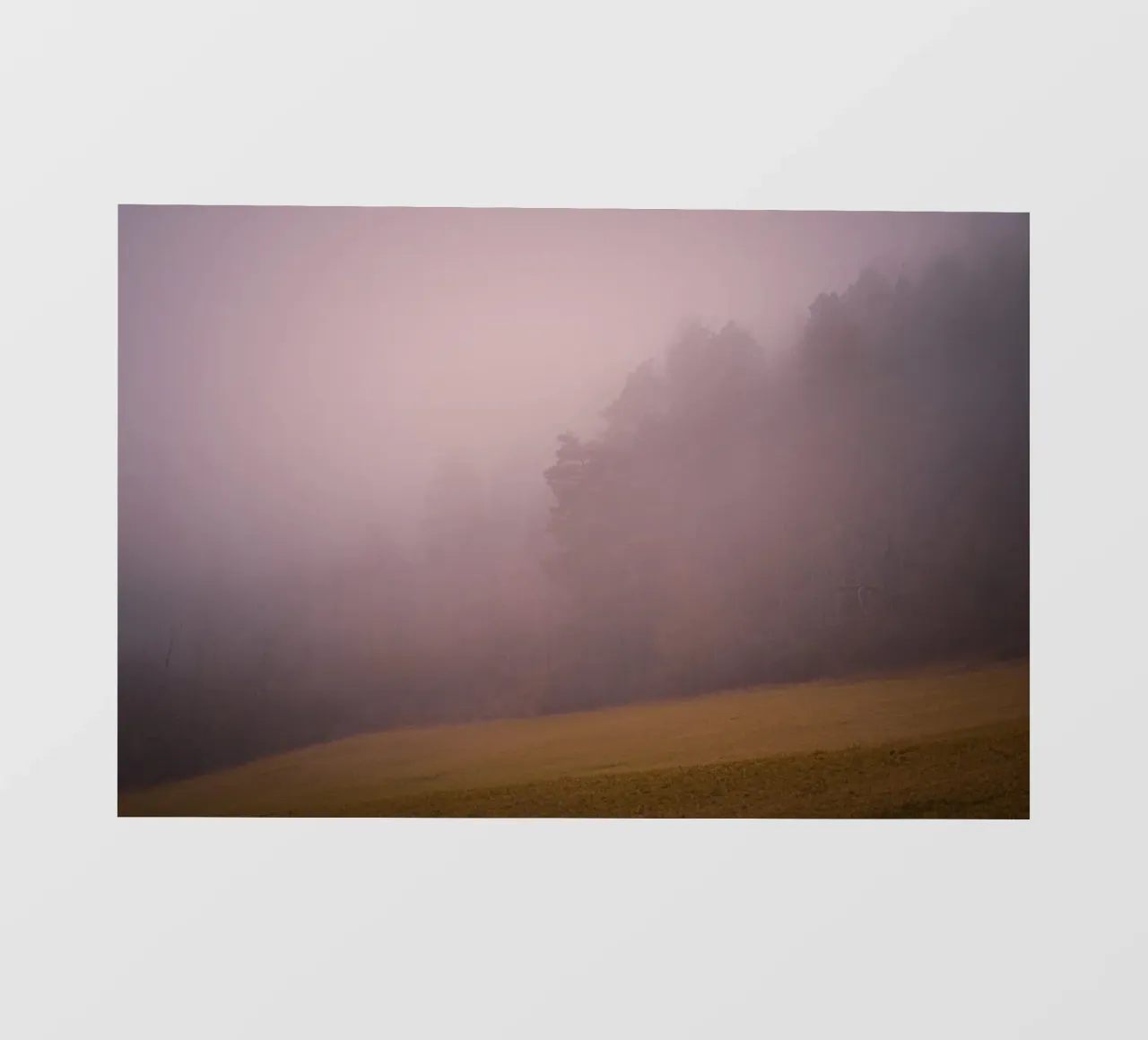Nebbia nella foresta e nel prato telo in pvc da Marcus Beckert | Fotografie