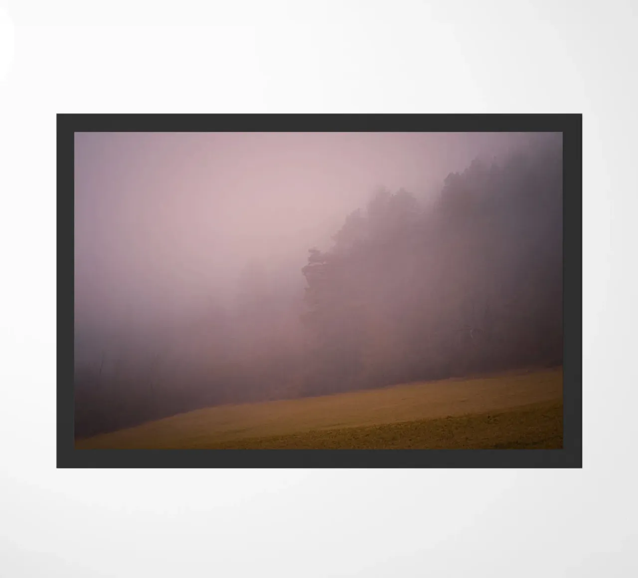 Nebbia nella foresta e nel prato zerbino da Marcus Beckert | Fotografie