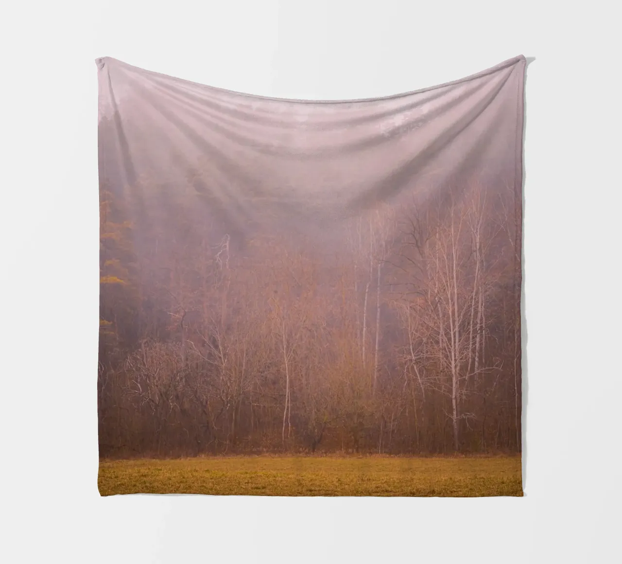 Nebbia in una foresta in autunno coperta in pile da Marcus Beckert | Fotografie