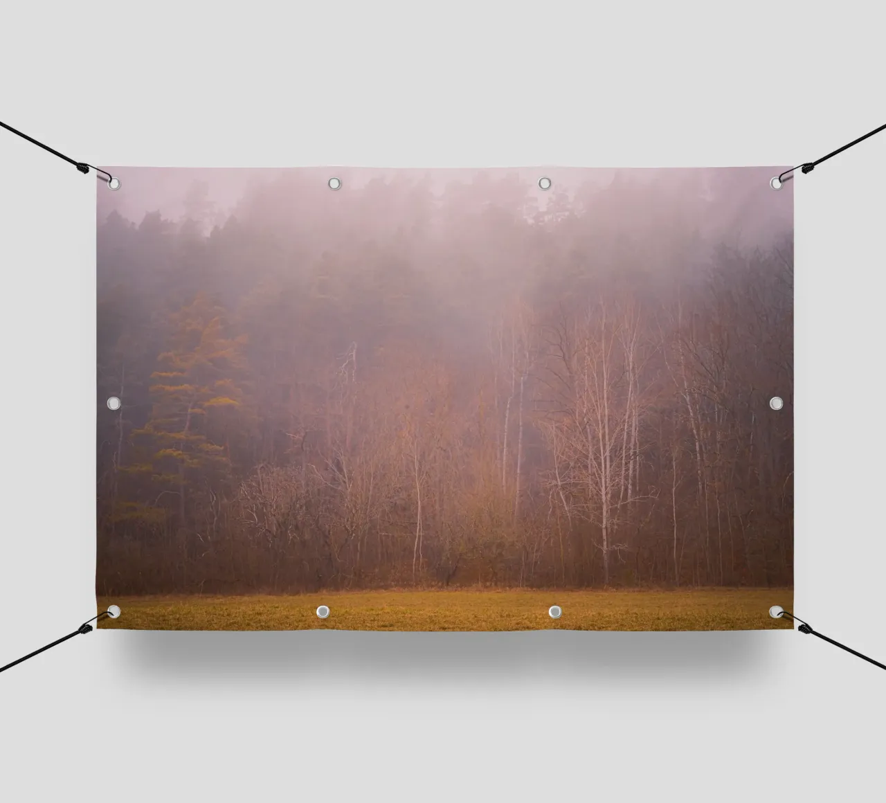 Fog in a forest in autumn pvc cover by Marcus Beckert | Fotografie