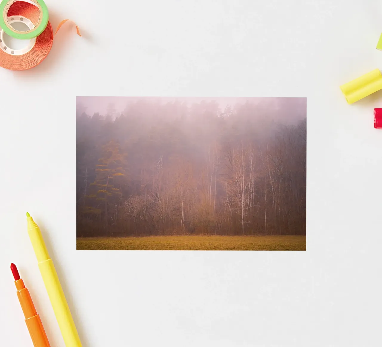 Nebbia in una foresta in autunno adesivo da Marcus Beckert | Fotografie