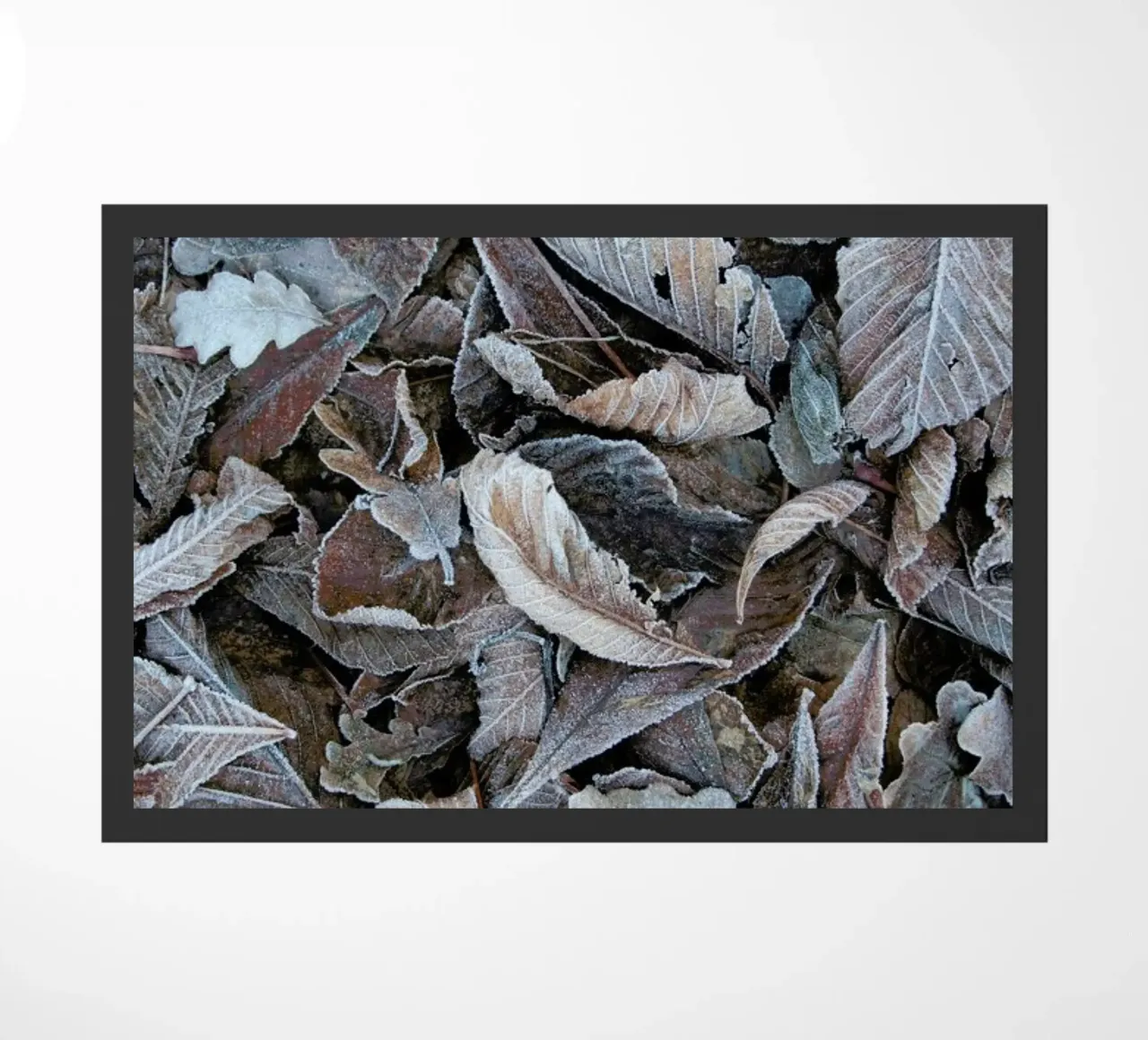 Winter Is Close doormat by Studio Nahili