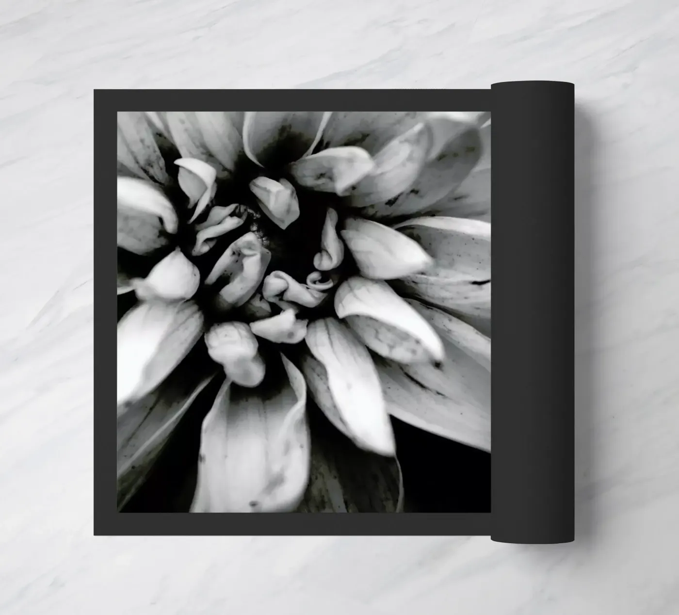 Flower I zerbino da Victoria Frost
