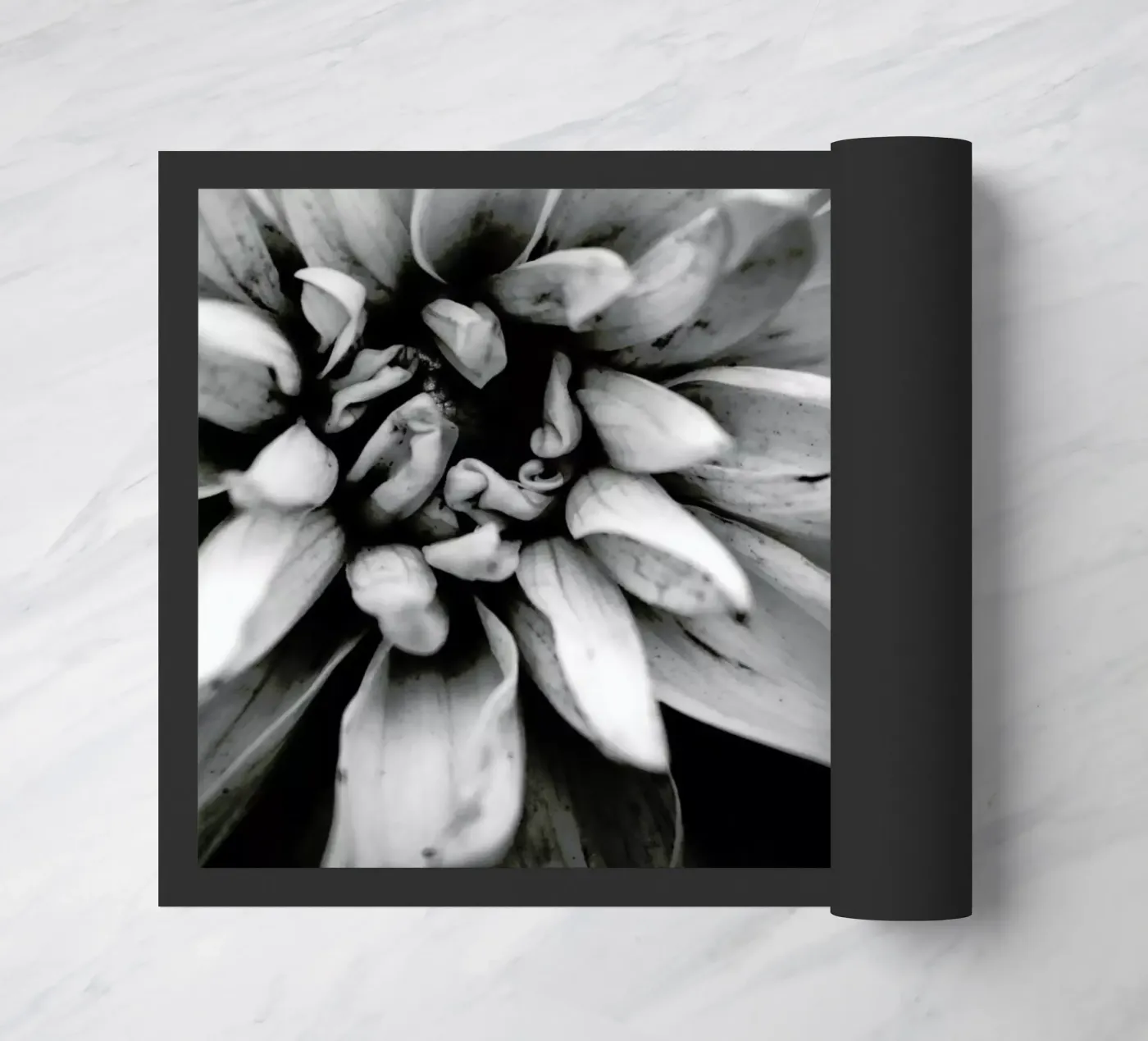 Flower I zerbino da Victoria Frost