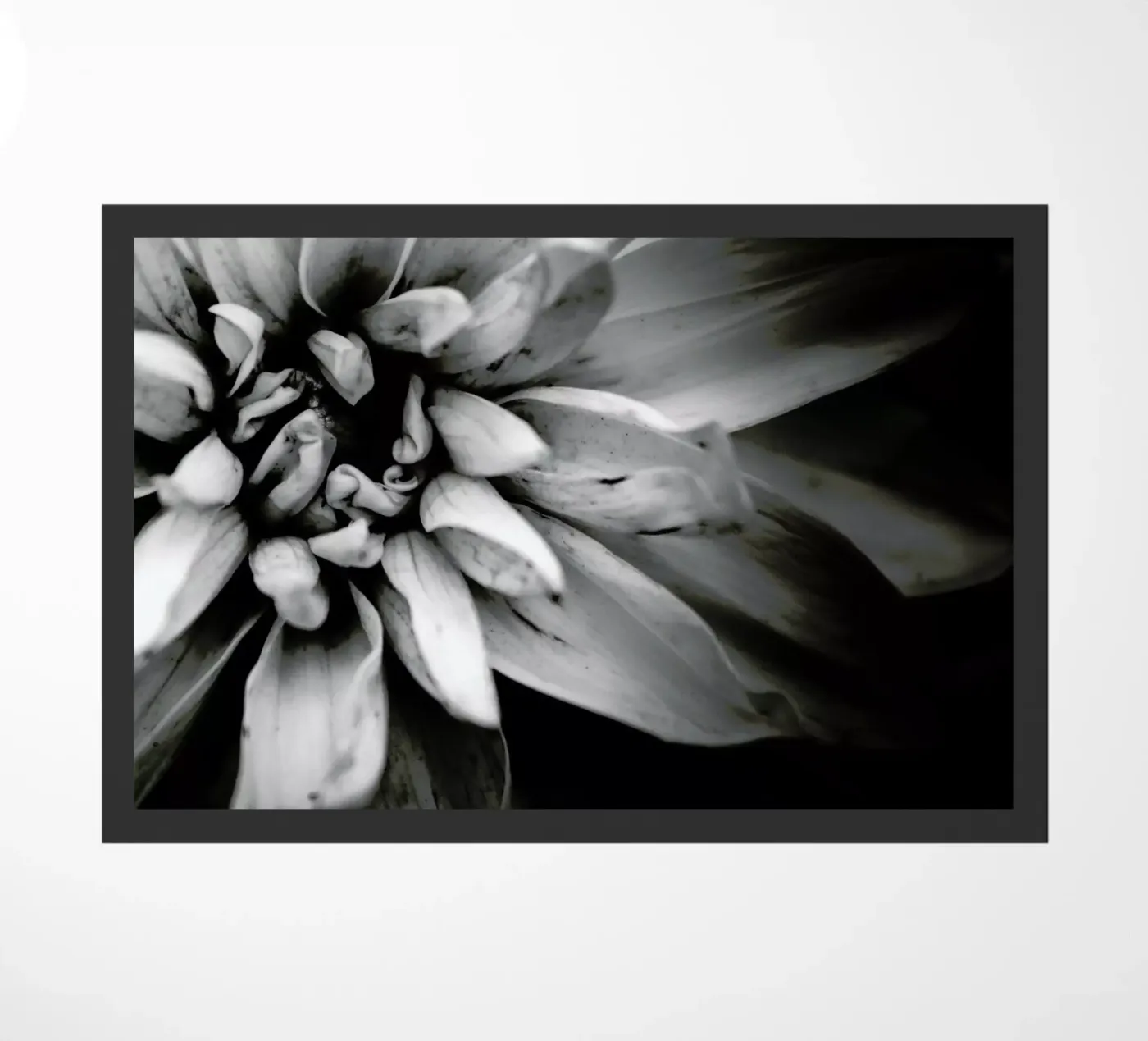 Flower I zerbino da Victoria Frost