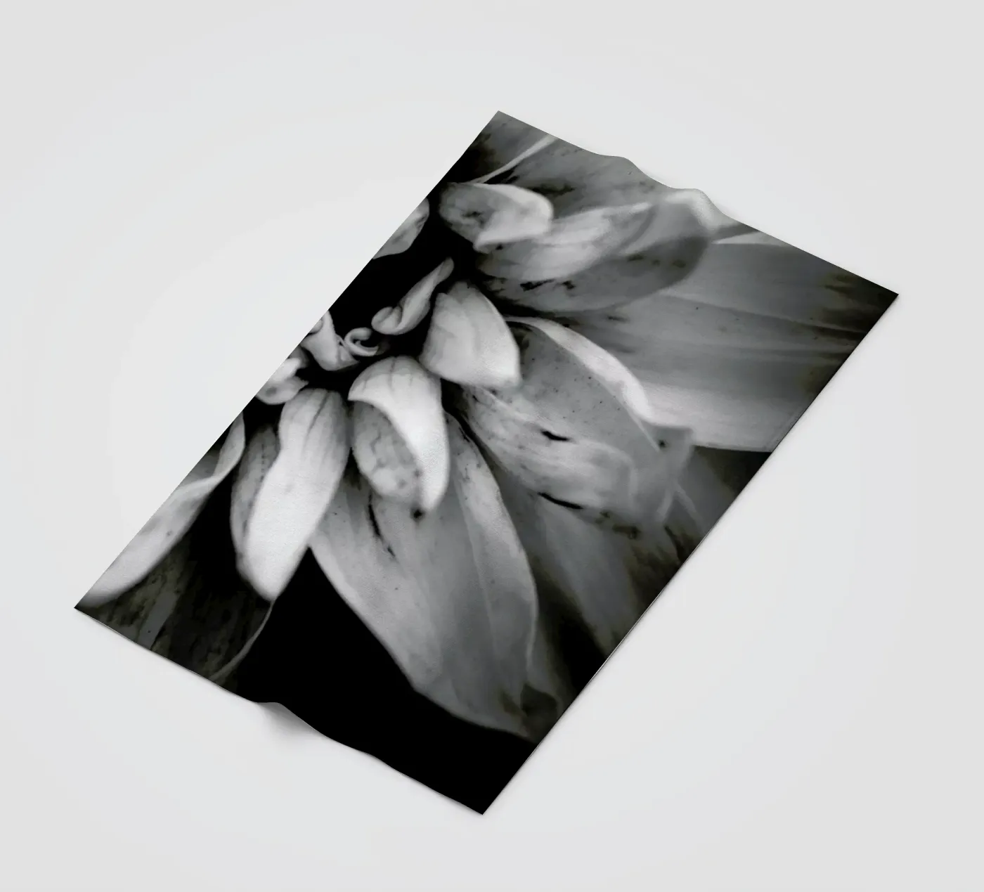 Flower I fleecedeken van Victoria Frost