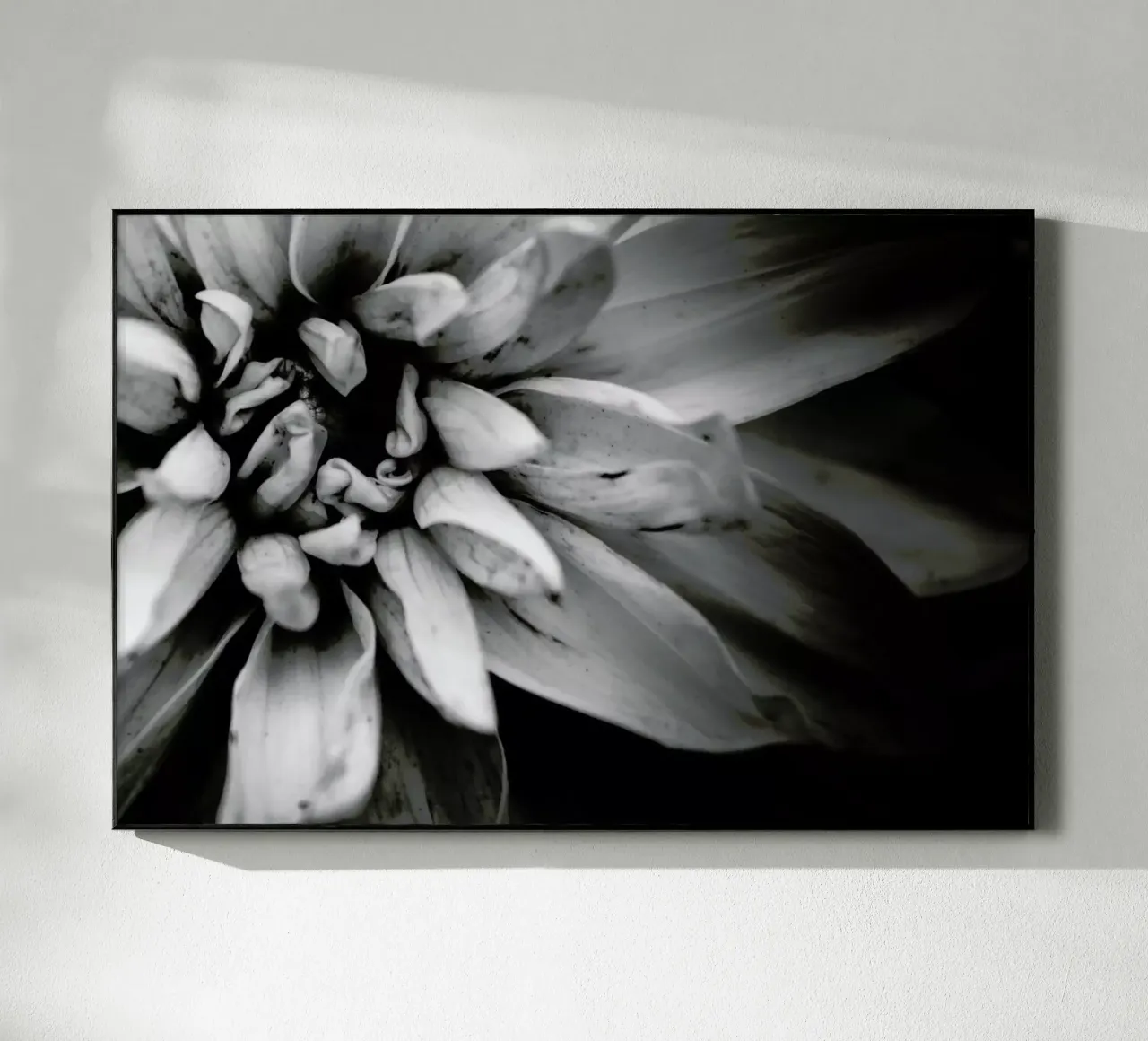 Flower I plexiglass da Victoria Frost