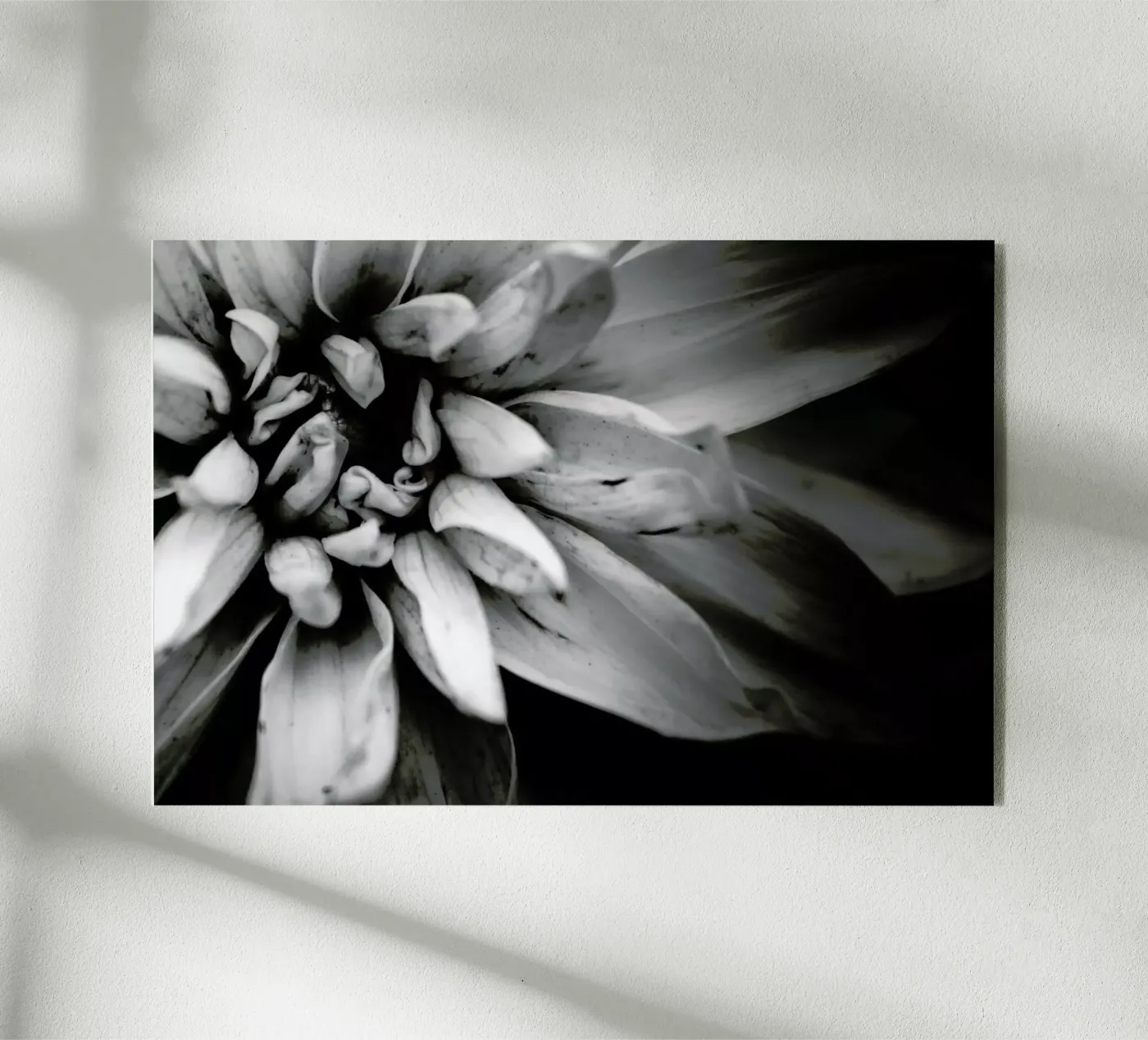 Flower I acryl van Victoria Frost