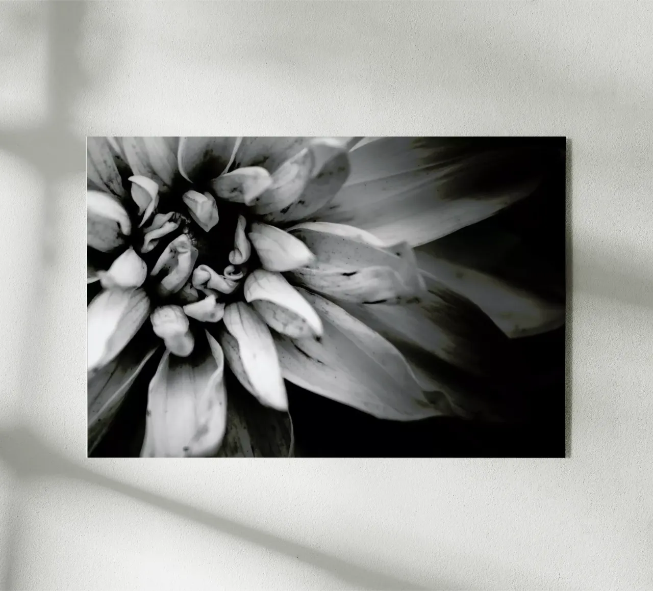 Flower I plexiglass da Victoria Frost