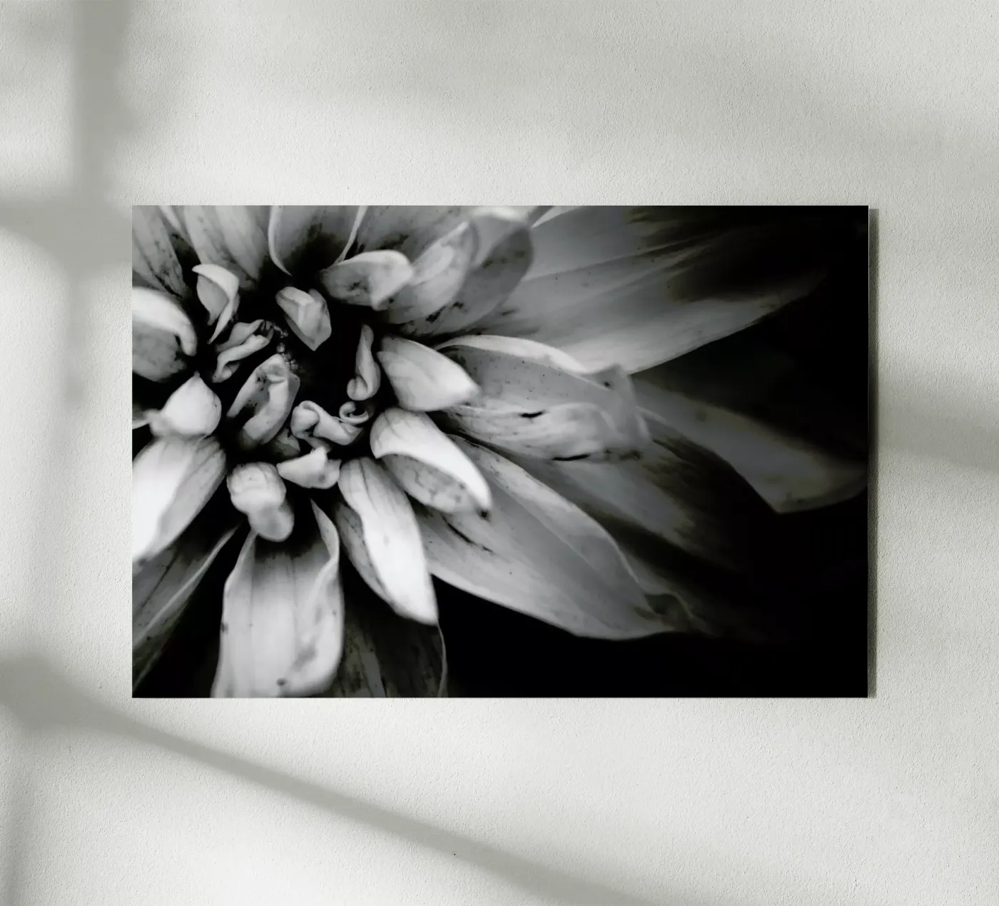 Flower I pannello forex da Victoria Frost