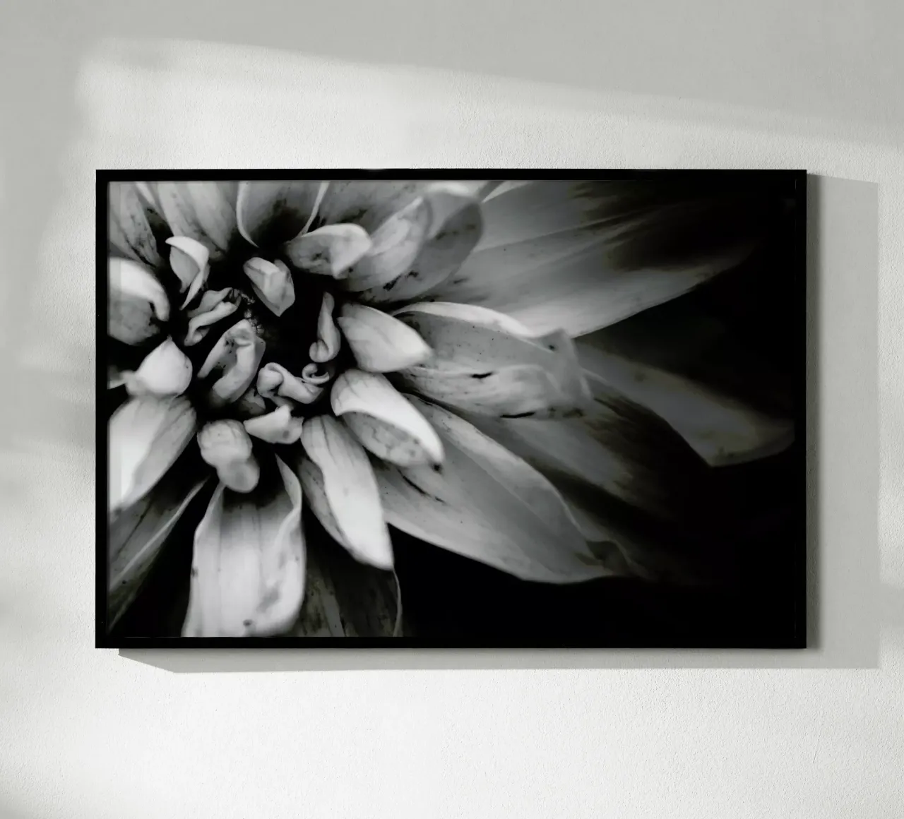 Flower I poster da Victoria Frost