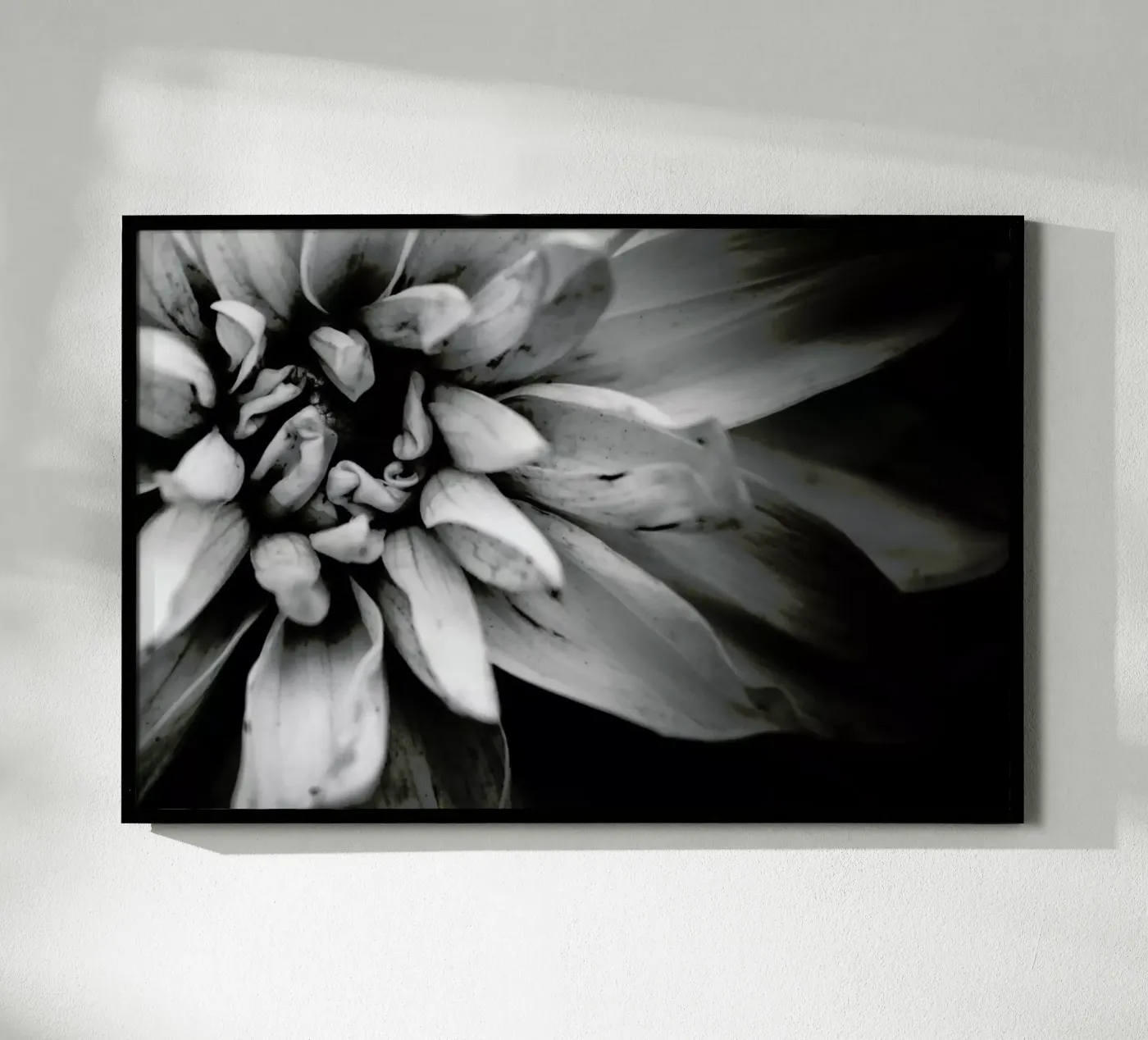 Flower I poster da Victoria Frost