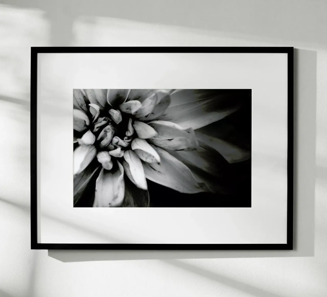 Flower I poster da Victoria Frost