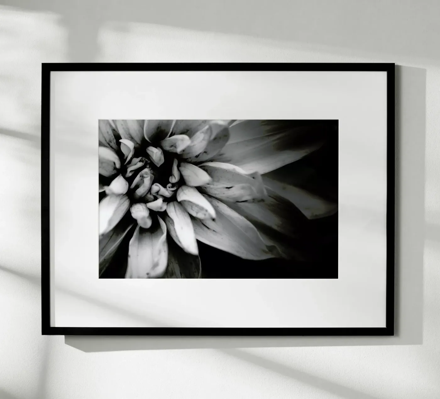 Flower I poster da Victoria Frost