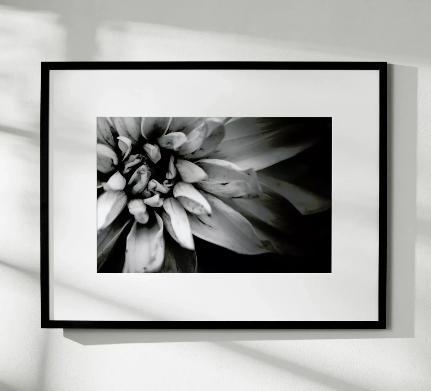 Flower I poster da Victoria Frost