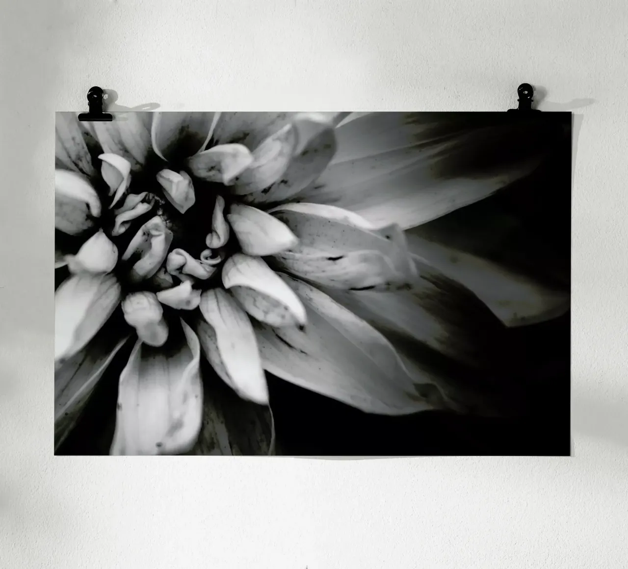 Flower I poster da Victoria Frost