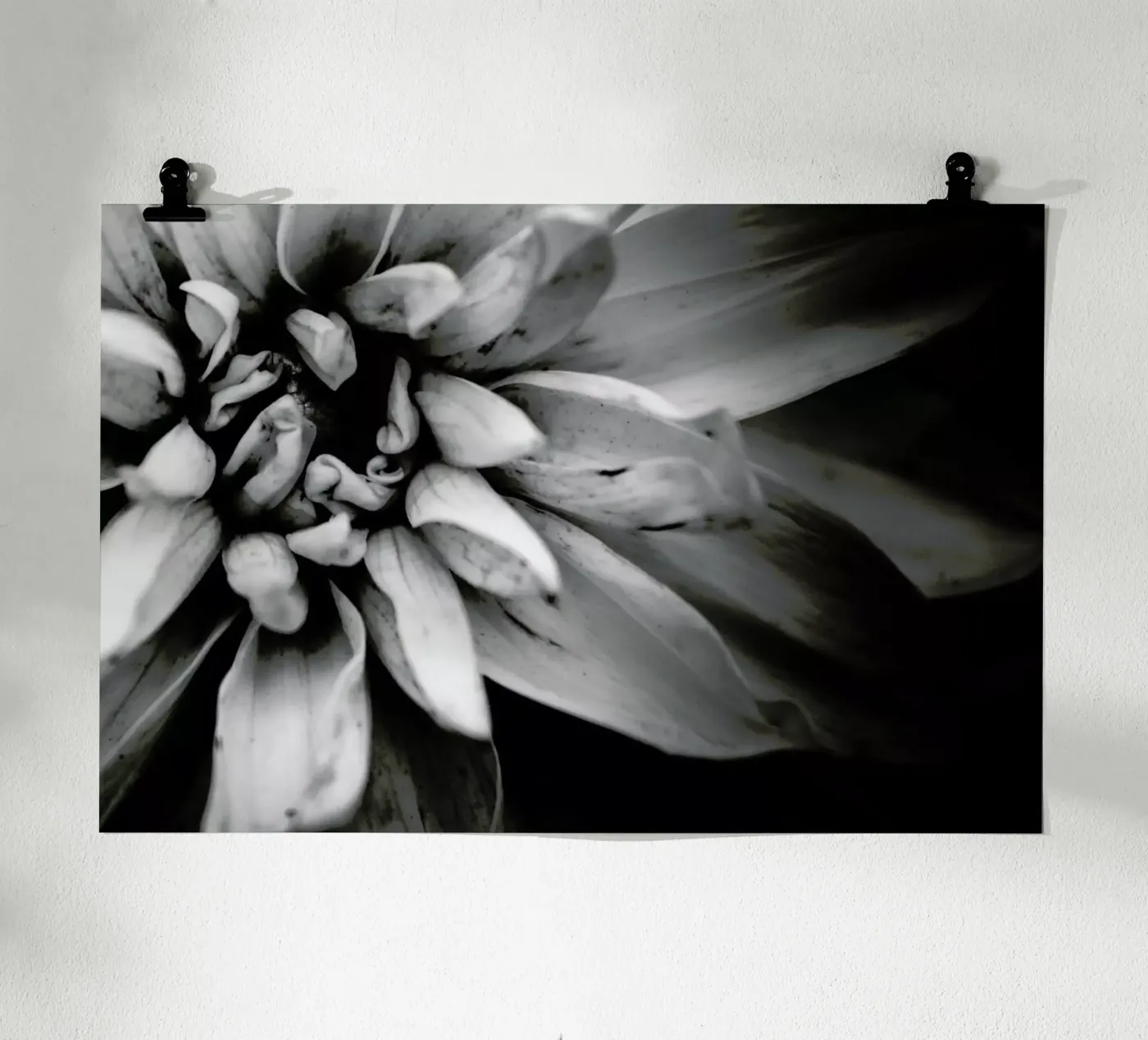 Flower I poster da Victoria Frost
