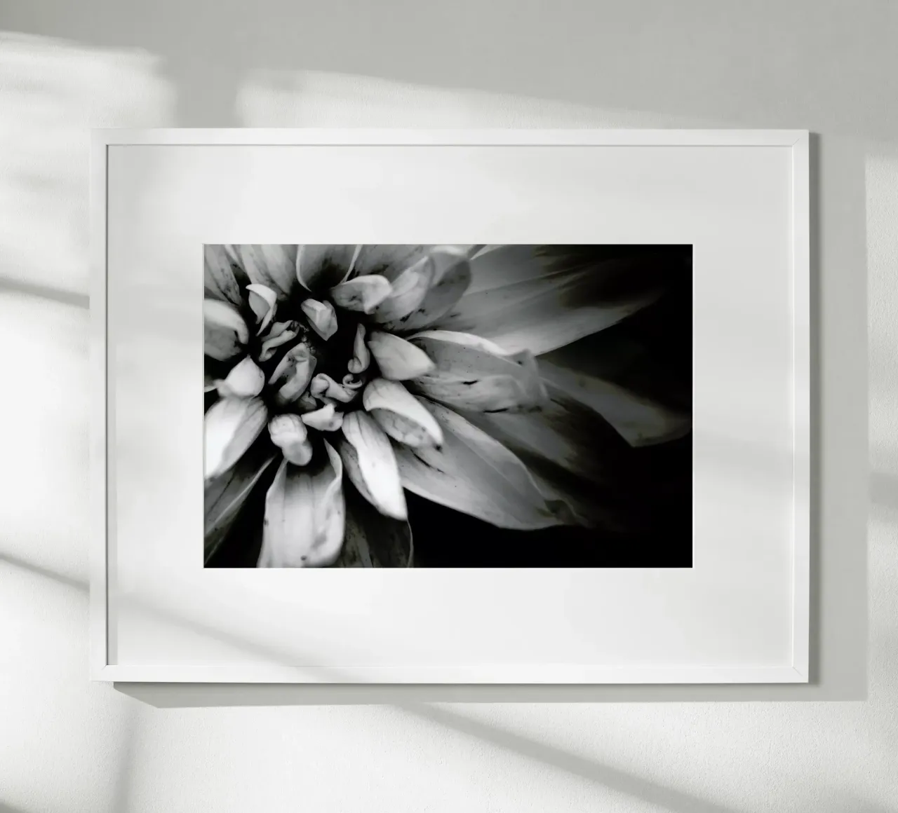 Flower I poster da Victoria Frost