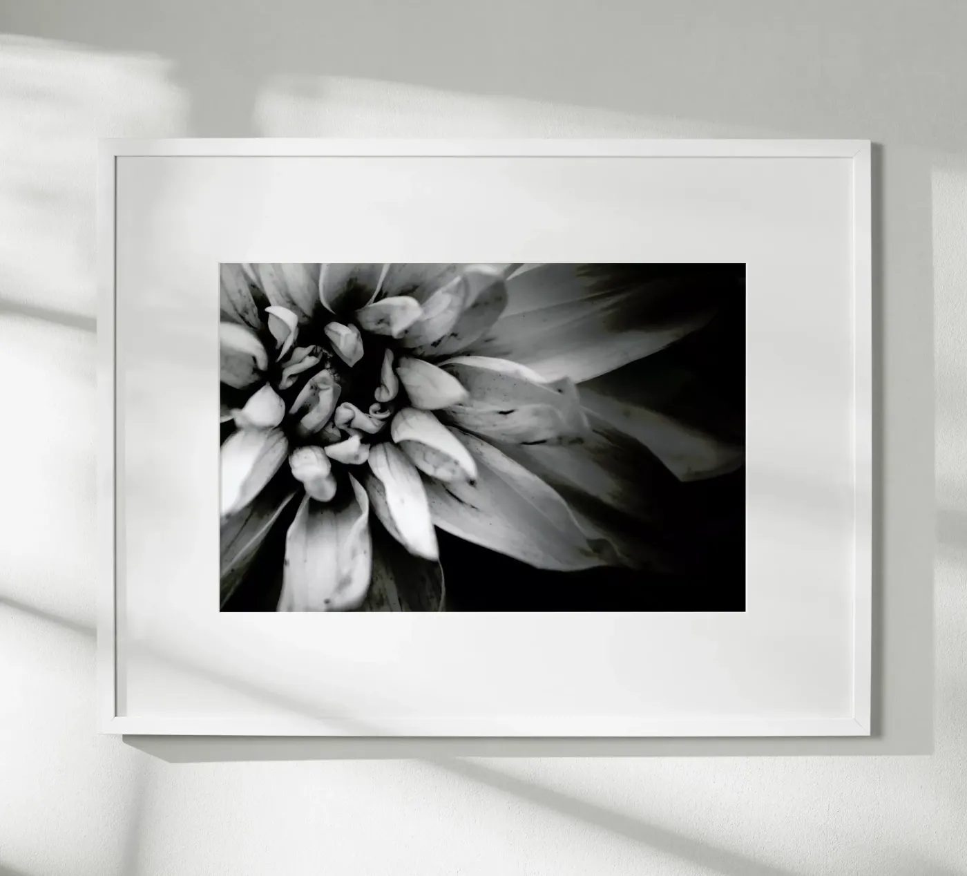 Flower I poster da Victoria Frost