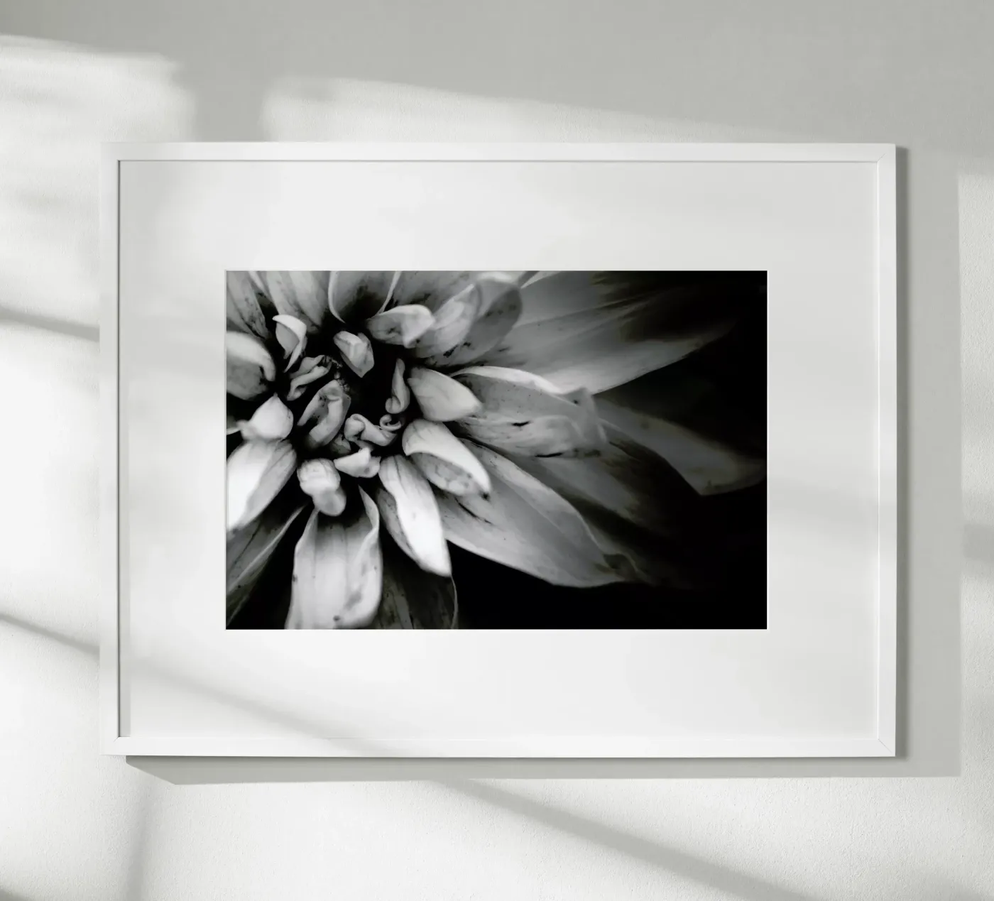 Flower I poster da Victoria Frost