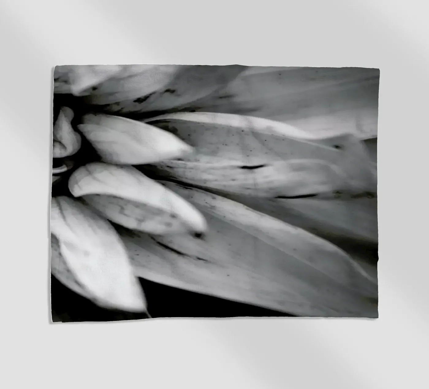 Flower I telo mare da Victoria Frost