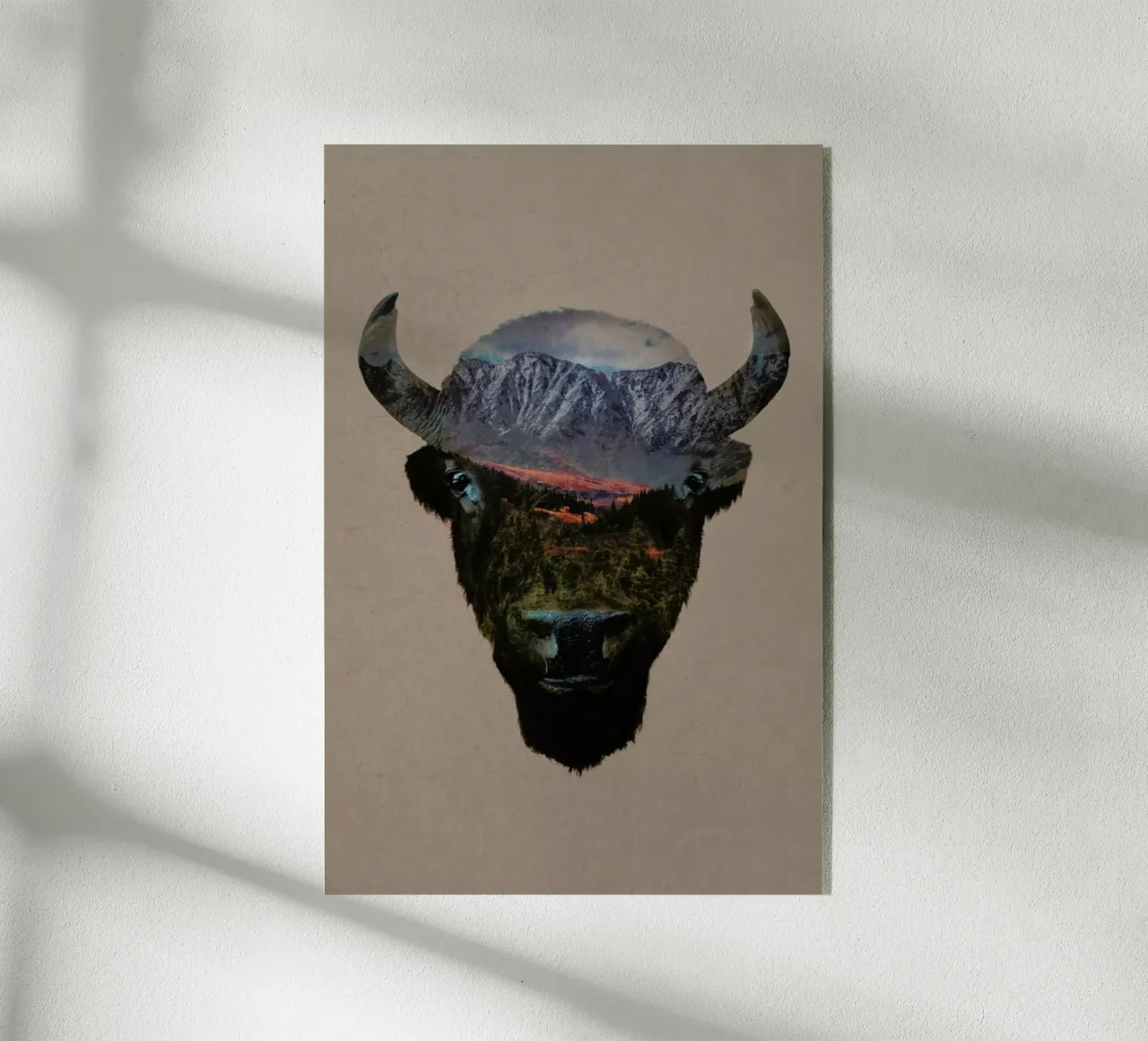 Bison Peak plexiglass da Davies Babies