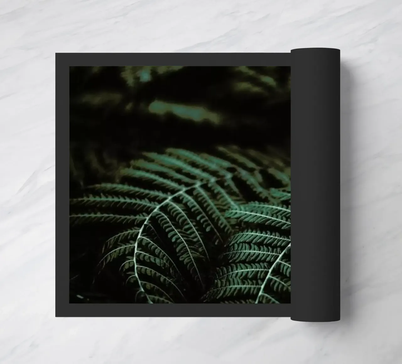 Fern zerbino da Chris Abatzis