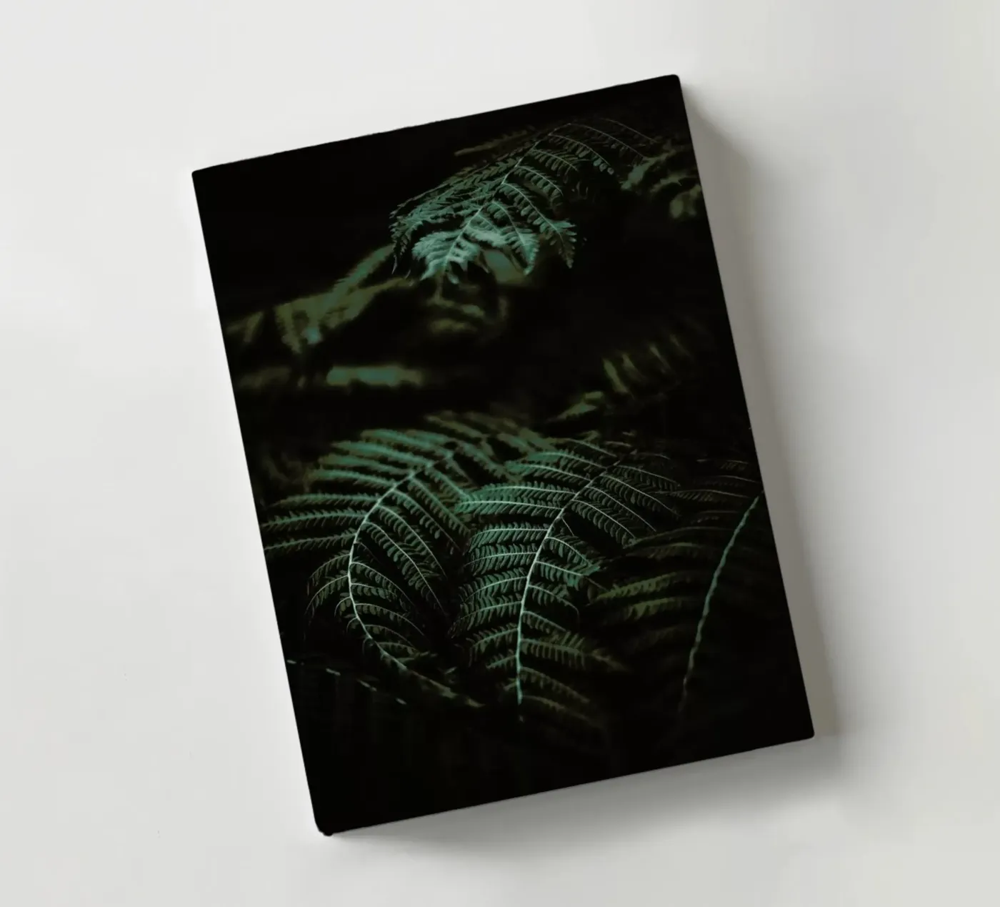 Fern notebook by Chris Abatzis
