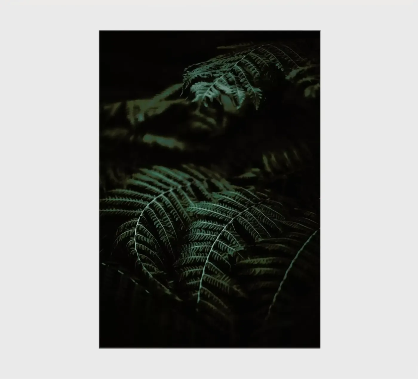 Fern notebook by Chris Abatzis