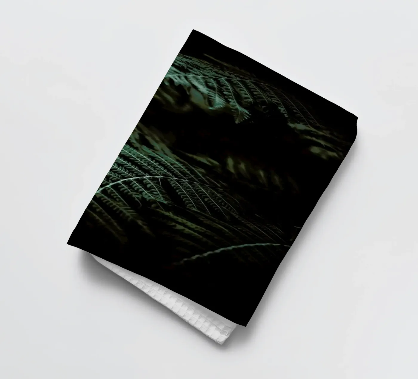 Fern torchon de Chris Abatzis