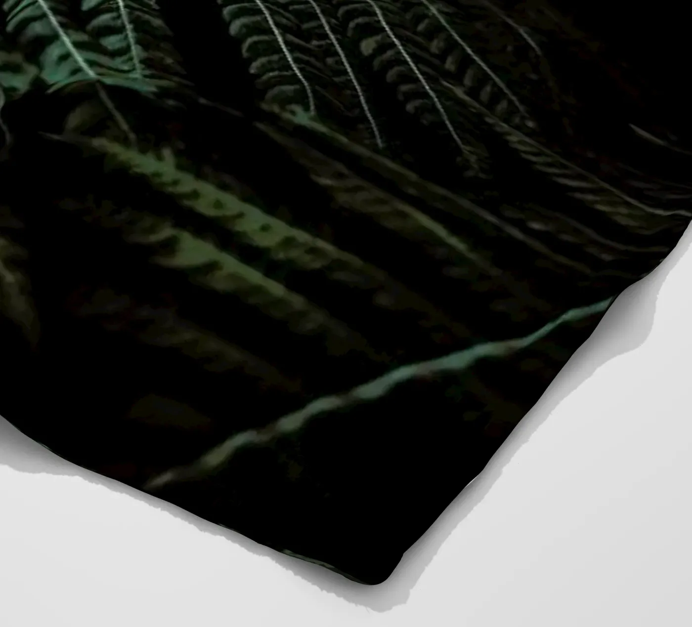 Fern coperta in pile da Chris Abatzis