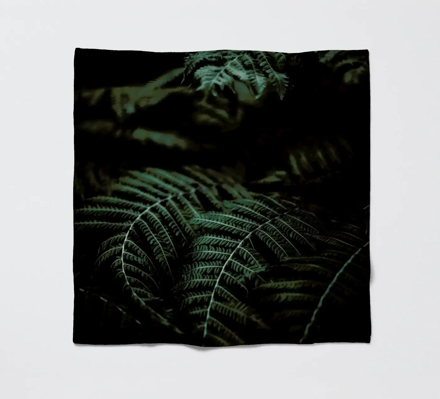 Fern coperta in pile da Chris Abatzis