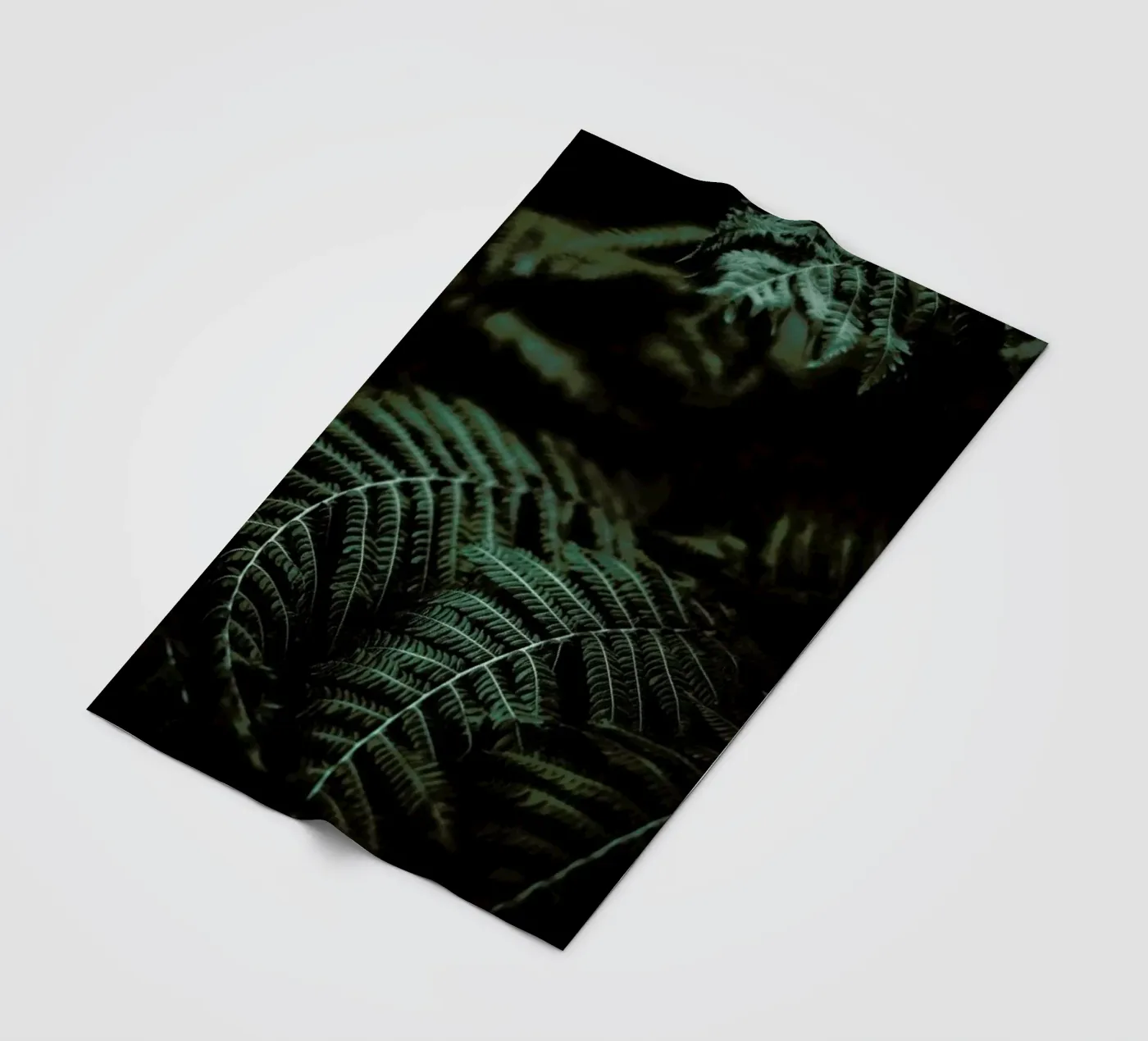Fern coperta in pile da Chris Abatzis