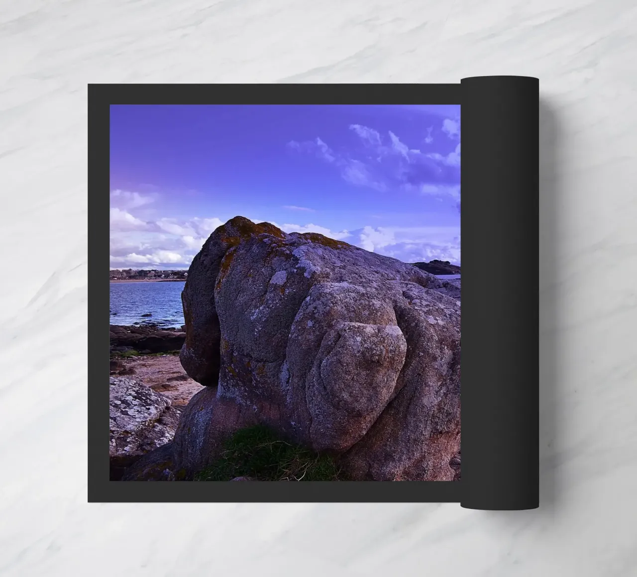 FAA169 zerbino da Thierry vobmann photography