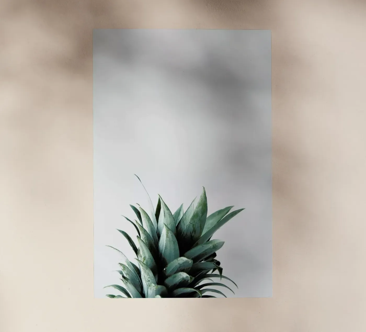 Pineapple backlit folie van Chris Abatzis